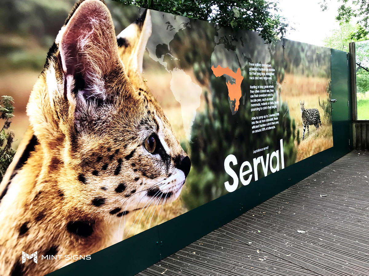hoarding-boards-serval-marwell